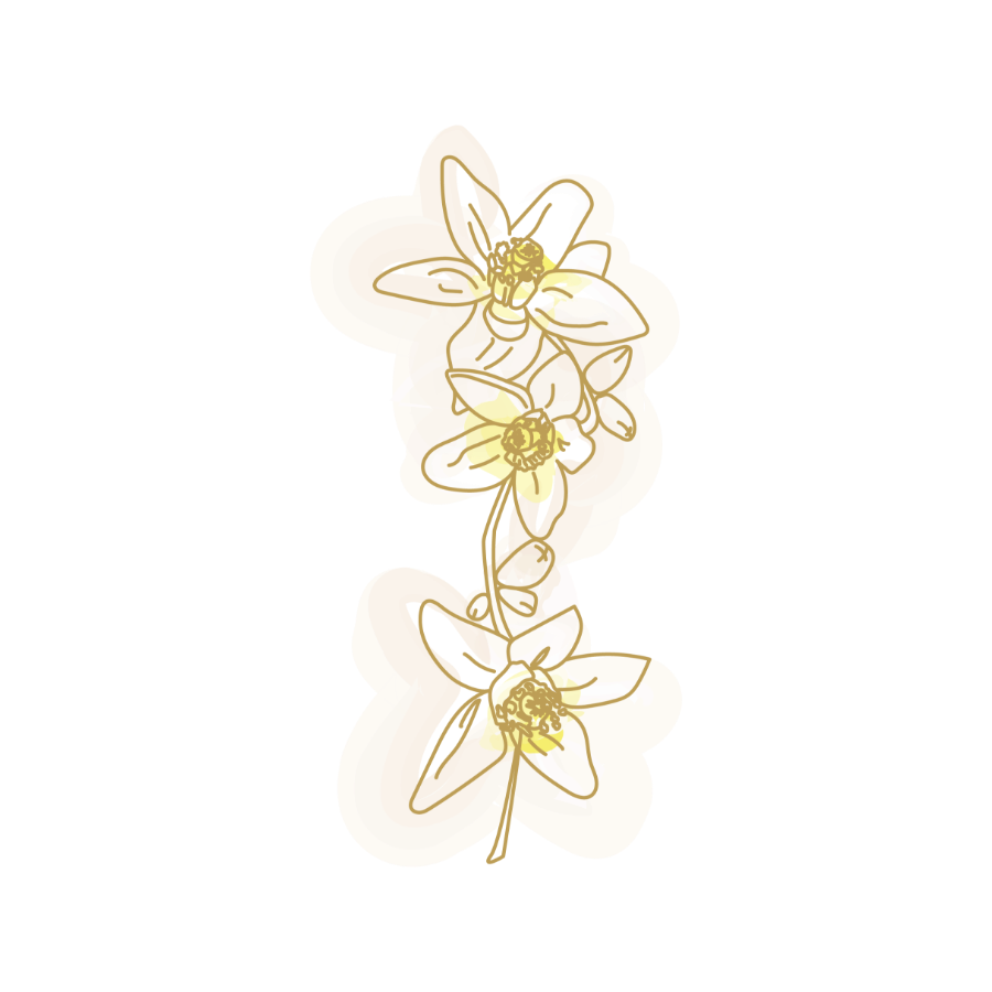 Ingredient